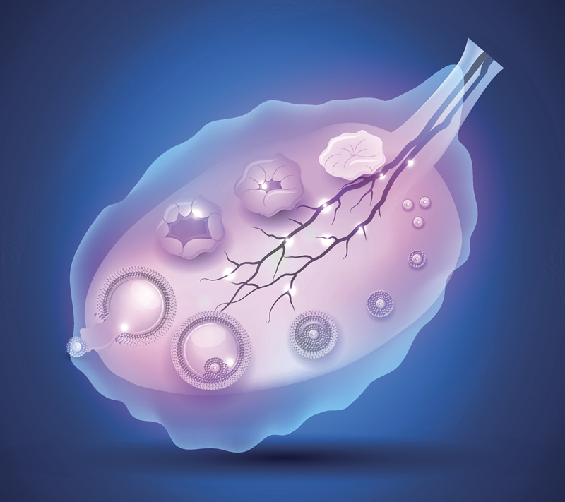 2026年长春高龄试管婴儿医院排名前五发布：53岁女性辅助生殖指南与本地优质生殖中心深度解析